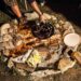 Lentriscas em Castelo – Uma biozona mesmo boazona