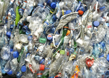 Nunca se reciclou tanto na região como em 2019