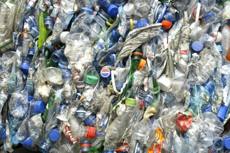 Nunca se reciclou tanto na região como em 2019