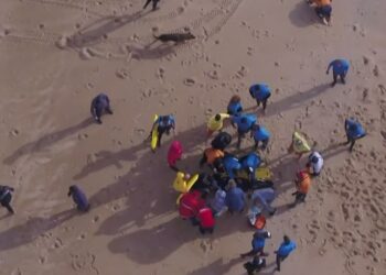 Veja o momento do incidente do surfista Alex Botelho na Praia do Norte
