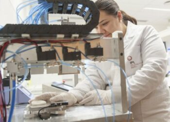 Politécnico de Leiria vai ter doutoramento em associação com Universidade do Minho
