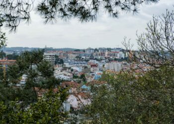 Preço do metro quadrado em Leiria  aumentou 239 euros em cinco anos