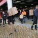 Covid-19: Politécnico de Leiria e empresas oferecem mais de 3.300 viseiras de protecção aos municípios da CIMRL