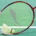 Coronavírus: cancelada competição internacional de badminton nas Caldas da Rainha