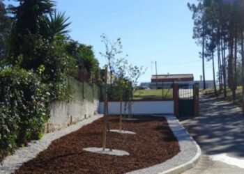 APPDA Leiria confirma caso de Covid-19 no lar residencial