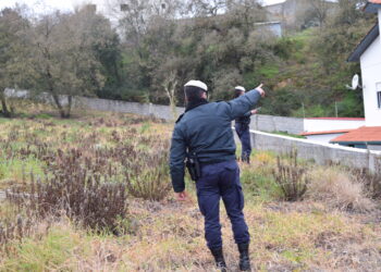 Município da Batalha investe em ecopontos florestais para apoiar a limpeza de terrenos