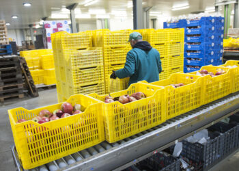 Horários desfasados e controlo  de temperatura: as estratégias das empresa para continuar a produzir