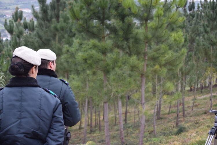 Menos freguesias com risco elevado de incêndio na região