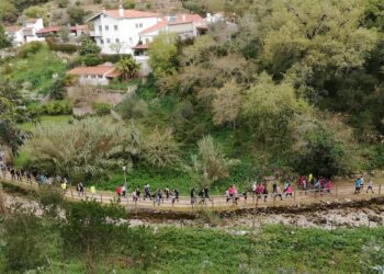 Leiria “está mudada” e enche a serra com 1.700 caminhantes