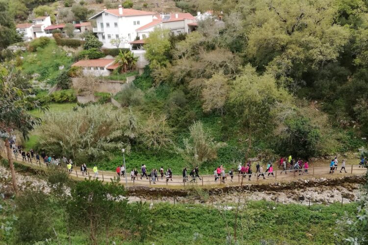 Leiria “está mudada” e enche a serra com 1.700 caminhantes