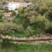 Leiria “está mudada” e enche a serra com 1.700 caminhantes