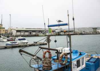 Pesca artesanal apela à fiscalização nos preços da venda de pescado