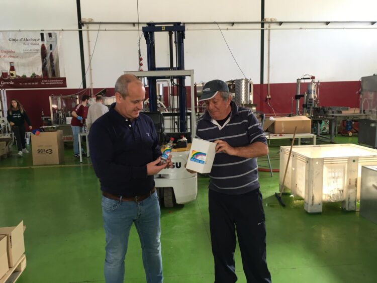 Empresa pára produção de ginja para fazer álcool a doá-lo a IPSS de Alcobaça