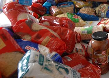 Cruz Vermelha de Leiria avança com projecto Alimentar com Amor