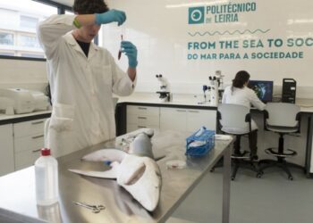 #covid19 Cetemares, de Peniche, abre centro de análises até final do mês