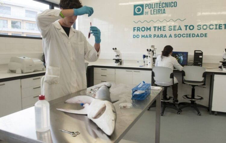 #covid19 Cetemares, de Peniche, abre centro de análises até final do mês
