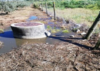 Rio Lena poluído por terceira descarga ilegal numa semana