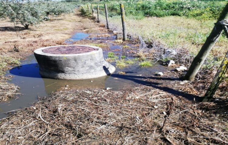Rio Lena poluído por terceira descarga ilegal numa semana