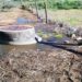Rio Lena poluído por terceira descarga ilegal numa semana