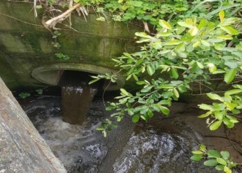 GNR detecta nova descarga ilegal de resíduos no rio Lena