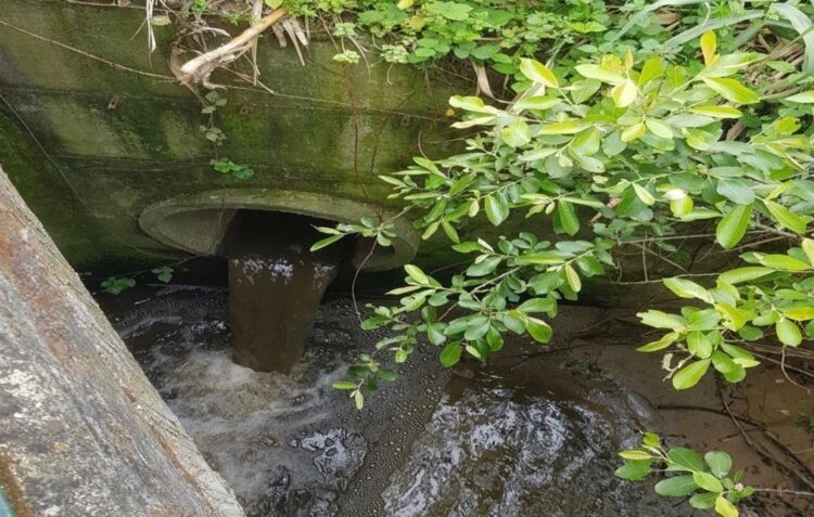 GNR detecta nova descarga ilegal de resíduos no rio Lena