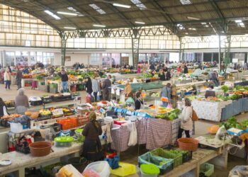 Produtores locais da Nazaré doam bens alimentares