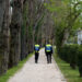 Leiria: percurso Polis reabre a 11 de Maio