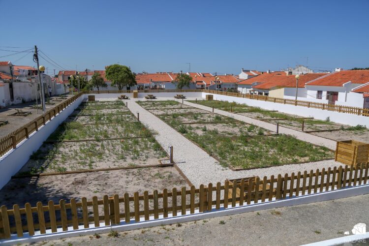 Doze lotes da primeira horta comunitária da Nazaré já têm utilizador