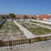 Doze lotes da primeira horta comunitária da Nazaré já têm utilizador