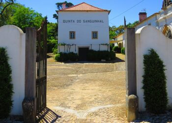 Enoturismo de regresso à Quinta do Sanguinhal