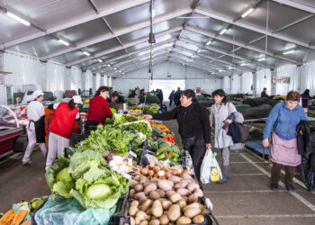 Município da Marinha Grande reabre mercados municipais