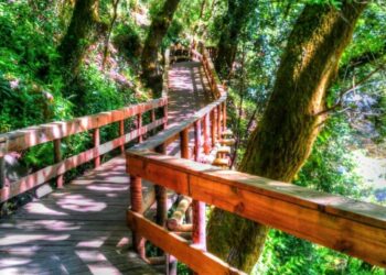 Município de Ourém apela ao Governo para baixar IVA no sector do turismo
