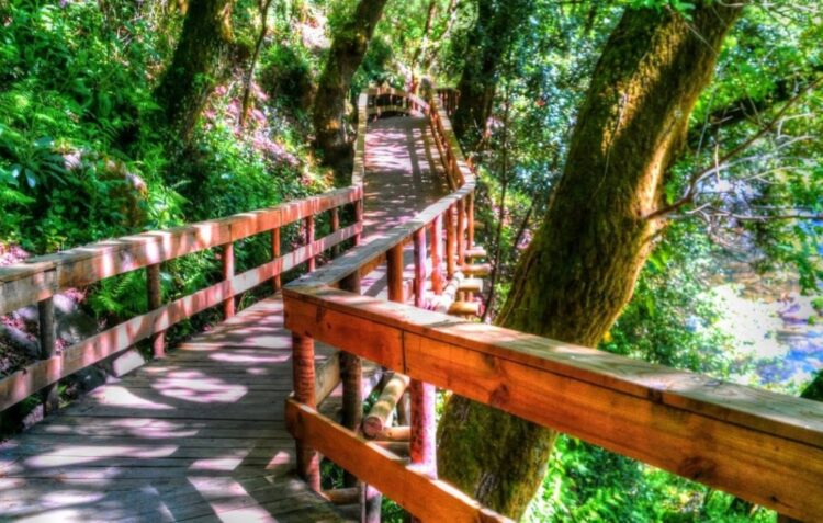 Município de Ourém apela ao Governo para baixar IVA no sector do turismo