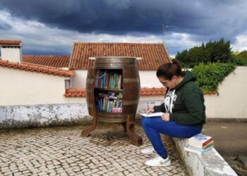 Projecto “Pequenas Bibliotecas Livres” recebe prémio internacional