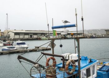 Docapesca lança requalificação da captação de água salgada no porto da Nazaré