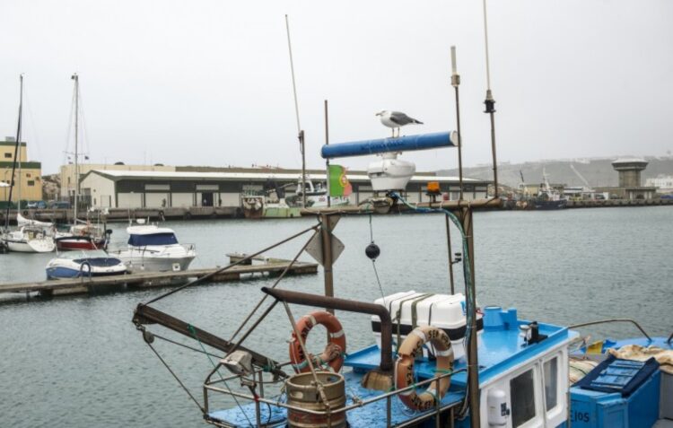 Docapesca lança requalificação da captação de água salgada no porto da Nazaré