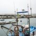 Docapesca lança requalificação da captação de água salgada no porto da Nazaré