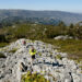 Trail em Leiria segue a tendência e lança desafio virtual e gratuito