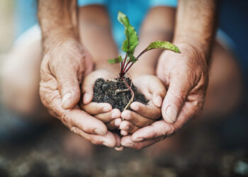 Valorlis assinala Dia Mundial do Ambiente com livro