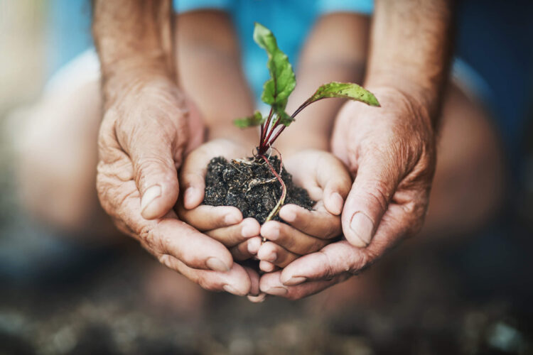 Valorlis assinala Dia Mundial do Ambiente com livro