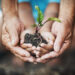 Valorlis assinala Dia Mundial do Ambiente com livro