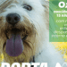 Adopção de animais do Centro de Recolha Oficial da Marinha Grande