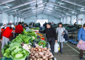 Mercado Municipal da Marinha Grande reabre no dia 6, sábado
