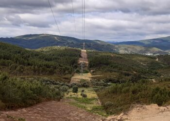 EDP Distribuição investe 16 milhões de euros em acções de inspecção e de intervenção junto às linhas eléctricas
