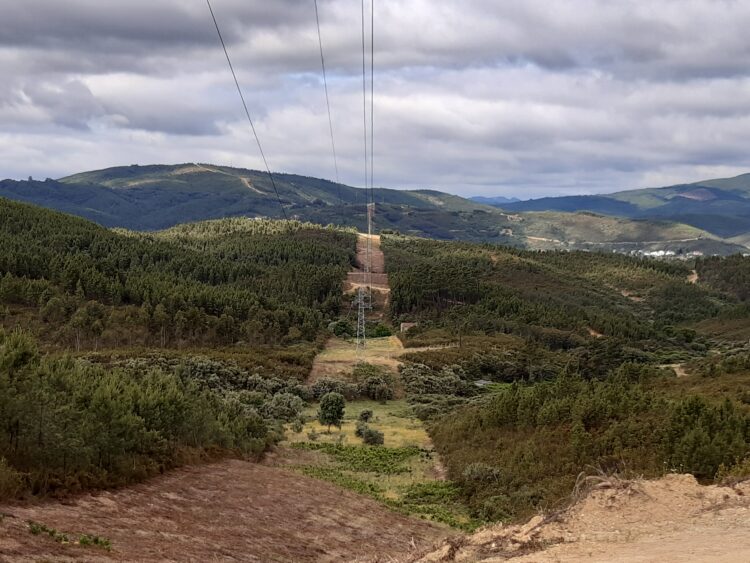 EDP Distribuição investe 16 milhões de euros em acções de inspecção e de intervenção junto às linhas eléctricas