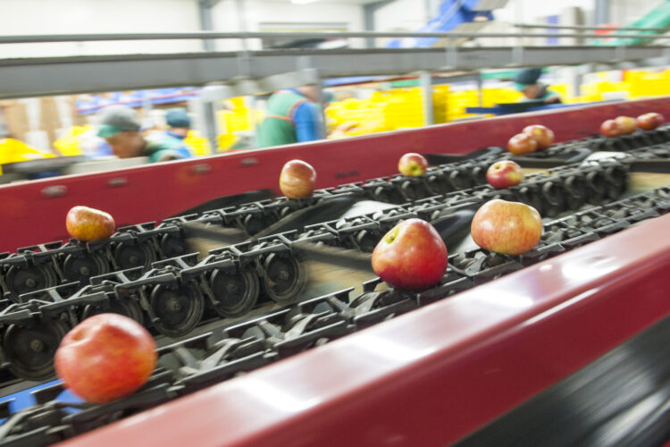 Exportações do distrito caem 31% em Abril devido à pandemia