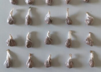 Detido por posse de droga em Porto de Mós fica em prisão preventiva