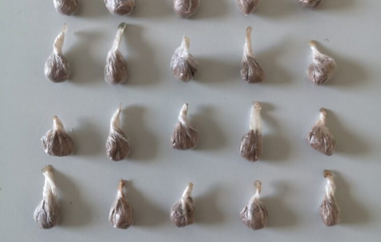 Detido por posse de droga em Porto de Mós fica em prisão preventiva
