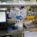 Duzentos trabalhadores de fábrica de conservas de Peniche com testes negativos