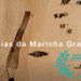 Filme sobre as praias da Marinha Grande seleccionado para o Festival Internacional Terres